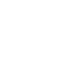 Ice Transfer Logo White